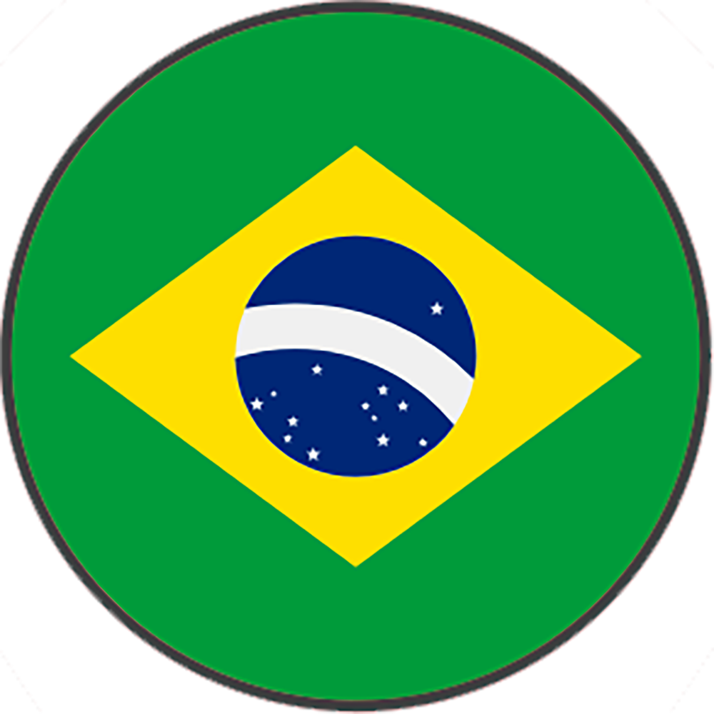 Brazil Flag