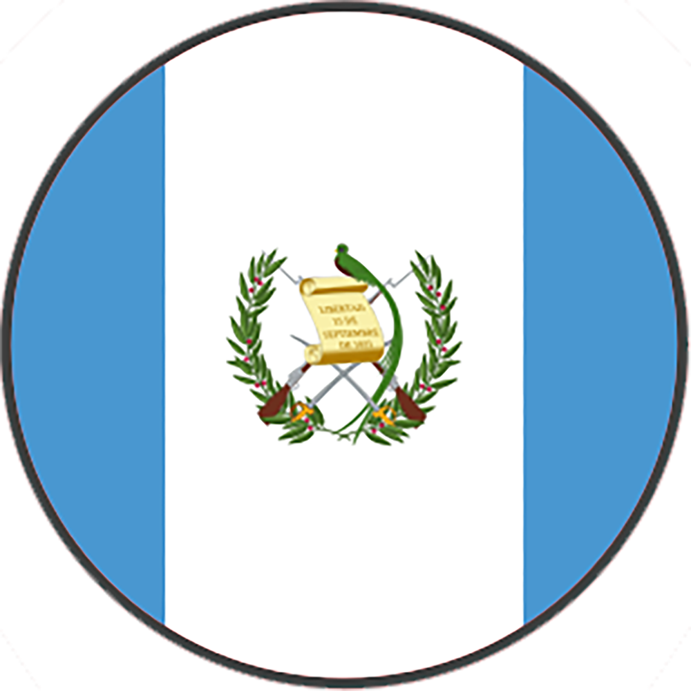 Guatemela Flag