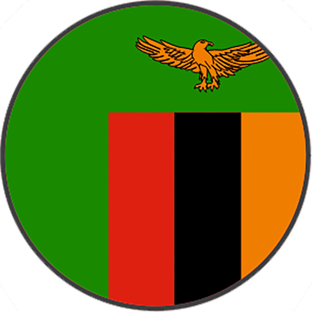 Zambia Flag